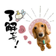 [LINEスタンプ] ゆる筆♡ペット ぱんくんとラブちゃん