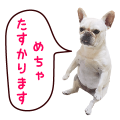 [LINEスタンプ] フレンチブルドッグ♫リリー2