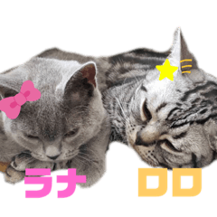 [LINEスタンプ] ロロラナ