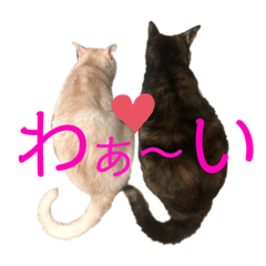 [LINEスタンプ] 犬猫三昧⑦