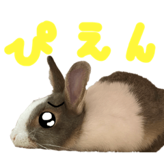 [LINEスタンプ] ミニウサギのしらすちゃんその2
