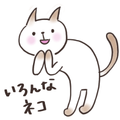 [LINEスタンプ] いろんなねこ（日常用）