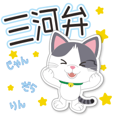 [LINEスタンプ] 三河弁を話す坂本にゃーちゃん1