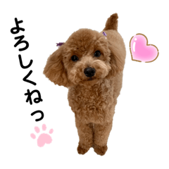 [LINEスタンプ] カトりんの日常♪④