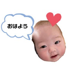 [LINEスタンプ] わこちゃんおかおすたんぷ