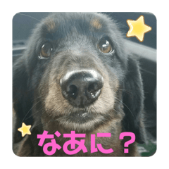 [LINEスタンプ] くぅ【改訂版】