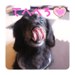 [LINEスタンプ] くぅぽんDX