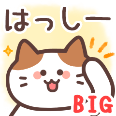 [LINEスタンプ] はっしー専用♪毎日使えるBIGスタンプ