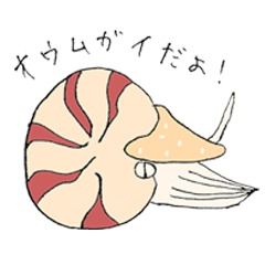 [LINEスタンプ] 深貝！オウムガイ