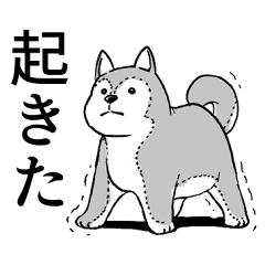 [LINEスタンプ] 犬のぬいぐるみの生活