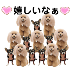 [LINEスタンプ] マティラとノアールのかわいい世界