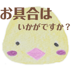 [LINEスタンプ] nanda zoo cookies いたわり