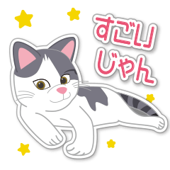 [LINEスタンプ] 標準語を話す坂本にゃーちゃん1