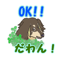 [LINEスタンプ] わんわんショコラの絵日記