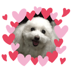 [LINEスタンプ] モコちゃん❣️
