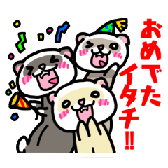 [LINEスタンプ] イタチ語♪フェレット！