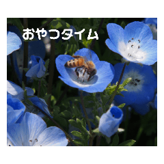 [LINEスタンプ] 写真を使って（30）