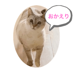 [LINEスタンプ] わが家のビビ姫＊春ver.