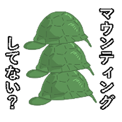 [LINEスタンプ] 緑色の亀1