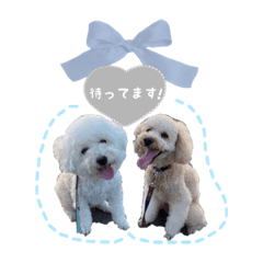 [LINEスタンプ] 大福きなこと時々みかん
