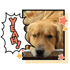 [LINEスタンプ] 愉快な怜央40