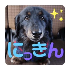 [LINEスタンプ] くうのお仕事伝言スタンプ