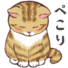 [LINEスタンプ] 毎日使える！ネコの敬語スタンプ