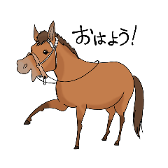 [LINEスタンプ] 与那国島の愉快な仲間たち