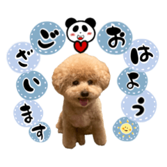 [LINEスタンプ] ゆる筆ペット♡ポンド、ロット、ルナ 3dogs