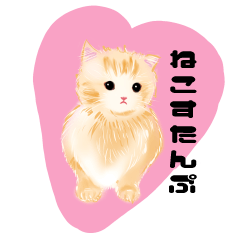 [LINEスタンプ] かわいいねこっっすたんぷ