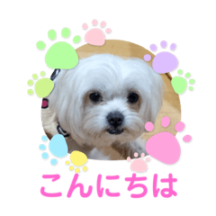 [LINEスタンプ] ぬまこさんちの仲間達♡