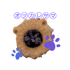 [LINEスタンプ] Ameyaあいさつ編