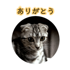 [LINEスタンプ] ボスタンプ part2