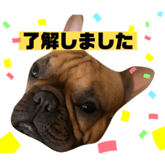 [LINEスタンプ] Mr.おうすけ八幡宮の画像（メイン）