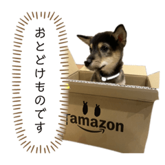 [LINEスタンプ] 黒柴犬パピーのルークくん