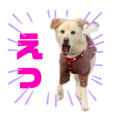[LINEスタンプ] きなこ＆もなかの日常4