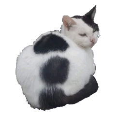 [LINEスタンプ] さくら猫さんたち