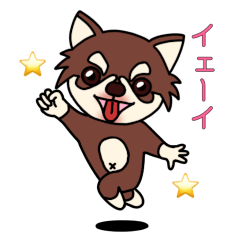 [LINEスタンプ] チワワのこころ 応用パック