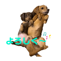 [LINEスタンプ] むぎもずスタンプ③