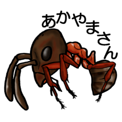 [LINEスタンプ] 蟻もどき