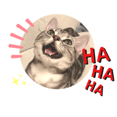 [LINEスタンプ] ましゅとちょこ