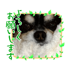 [LINEスタンプ] よんよんフレンドリー1