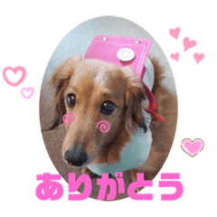 [LINEスタンプ] 麦むぎまろりん