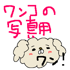 [LINEスタンプ] わんこの写真用スタンプ！！