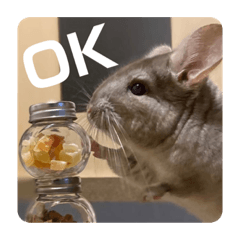 [LINEスタンプ] 獅子丸のあいさつ言葉