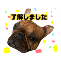 [LINEスタンプ] 尾崎家のブラザーズ