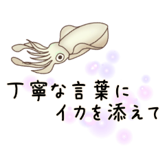 [LINEスタンプ] 丁寧な言葉にイカを添えて