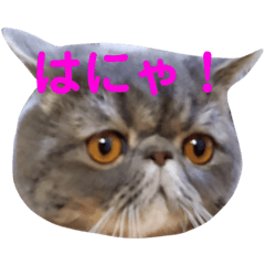 [LINEスタンプ] ∽Love tororo∽