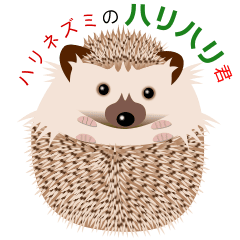 [LINEスタンプ] 動くハリネズミのハリハリ君の画像（メイン）