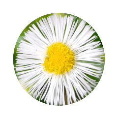 [LINEスタンプ] 生き物全般好きな人向きなスタンプ